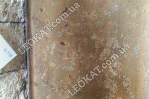 LEOKAT Викуп каталізаторів - Mercedes Benz -  - Кераміка - KT A024 A46349061