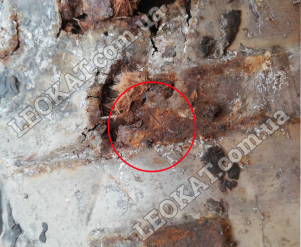 LEOKAT Викуп каталізаторів - Mitsubishi -  - Кераміка - 9Y