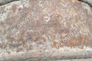 LEOKAT Викуп каталізаторів - Tata -  - Кераміка - 0902AAA01050N