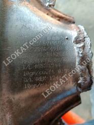 LEOKAT Викуп каталізаторів - Tata -  - Кераміка - 289649100110